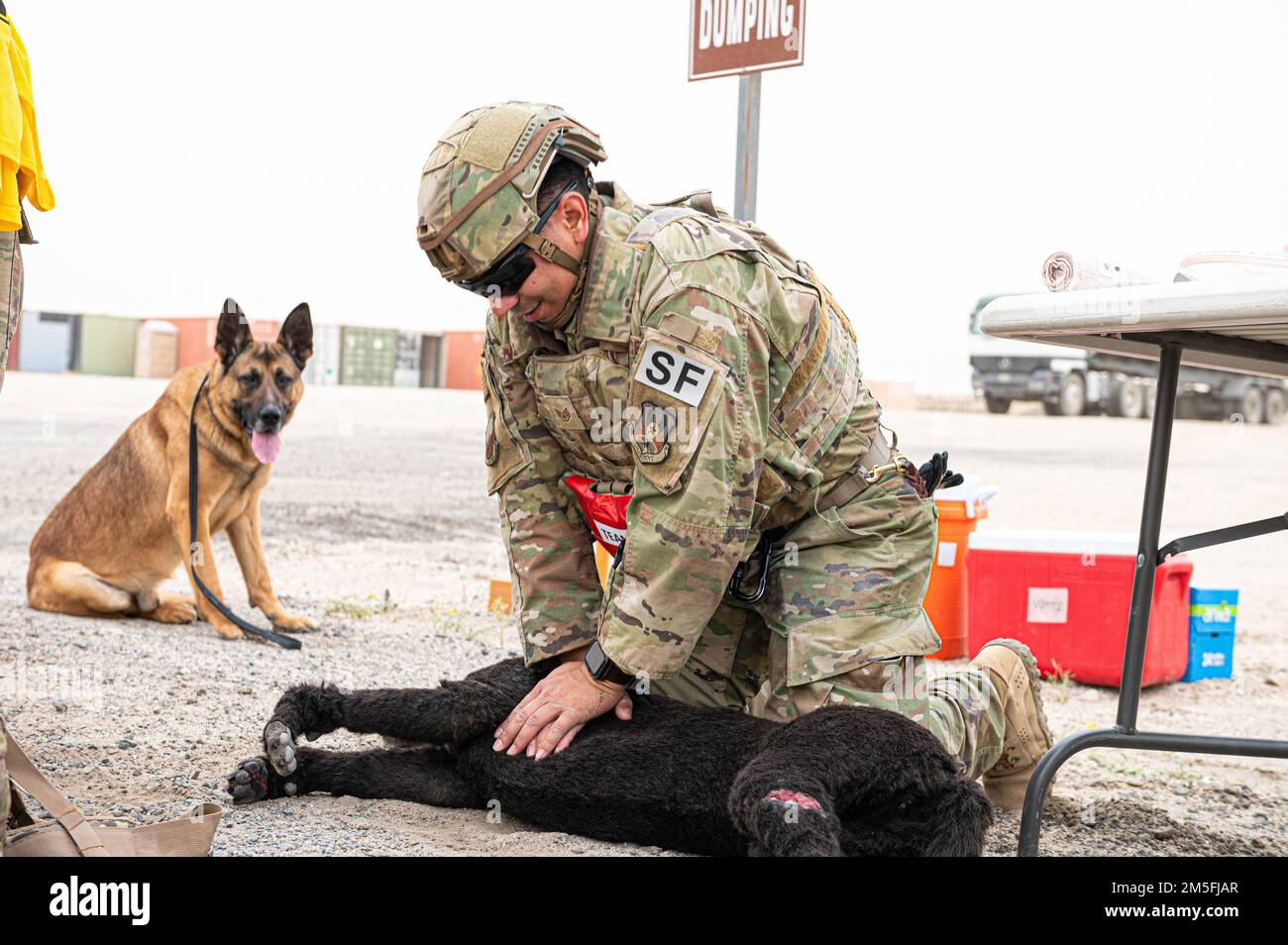 U.S. Air Force Staff Sgt. Rafael Del Real, a military working dog