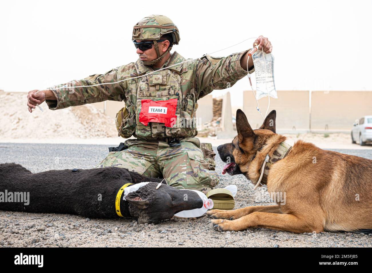 U.S. Air Force Staff Sgt. Rafael Del Real, a military working dog