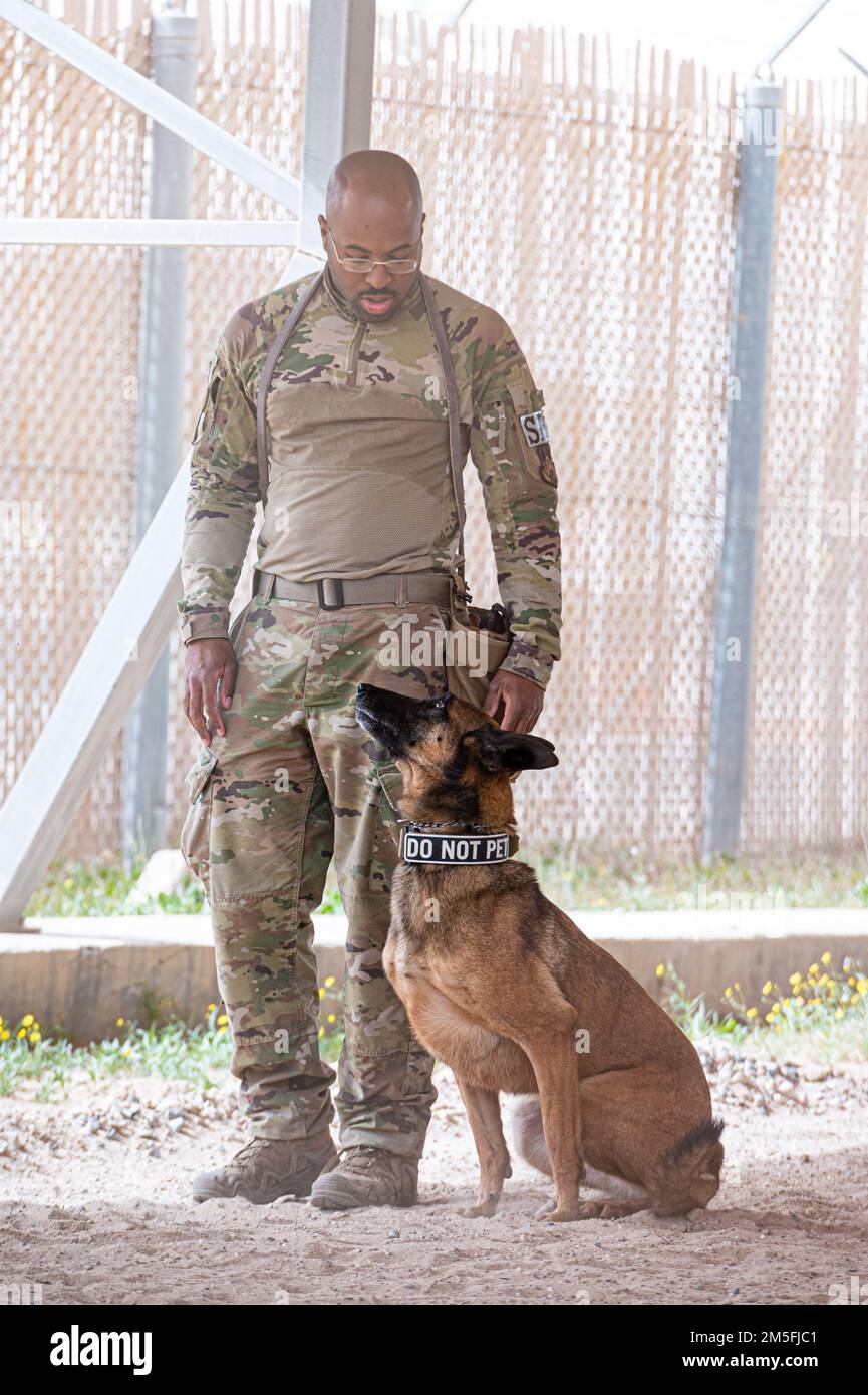 Army k9 handler sales
