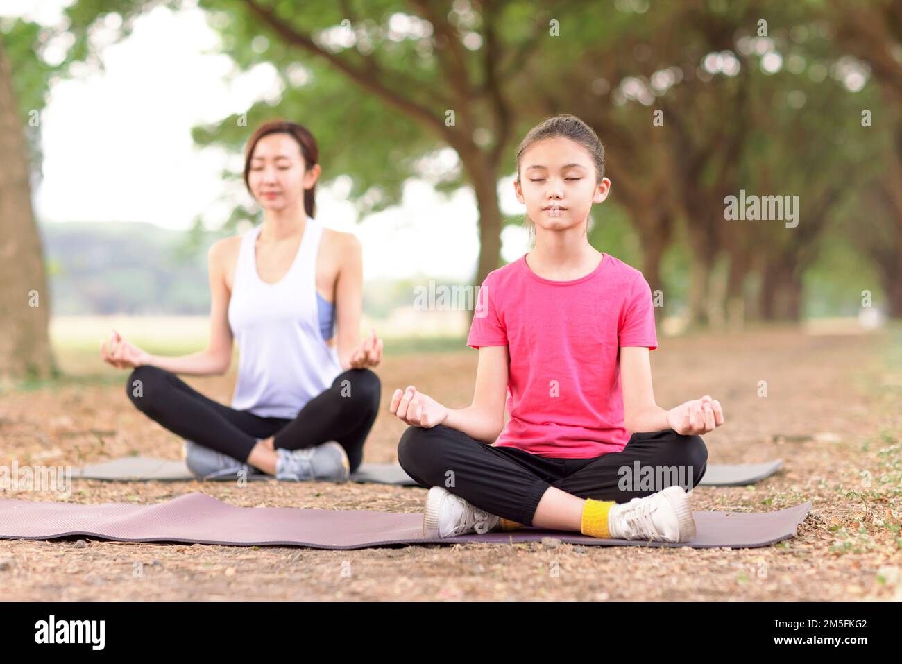 Mother and daughter doing yoga exercises on grass in the park Stock Photo