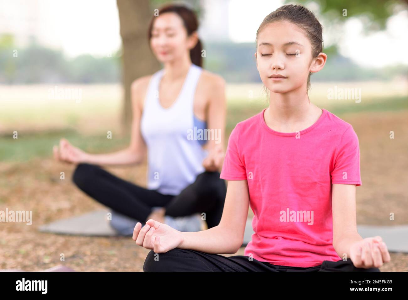 Mother and daughter doing yoga exercises on grass in the park Stock Photo