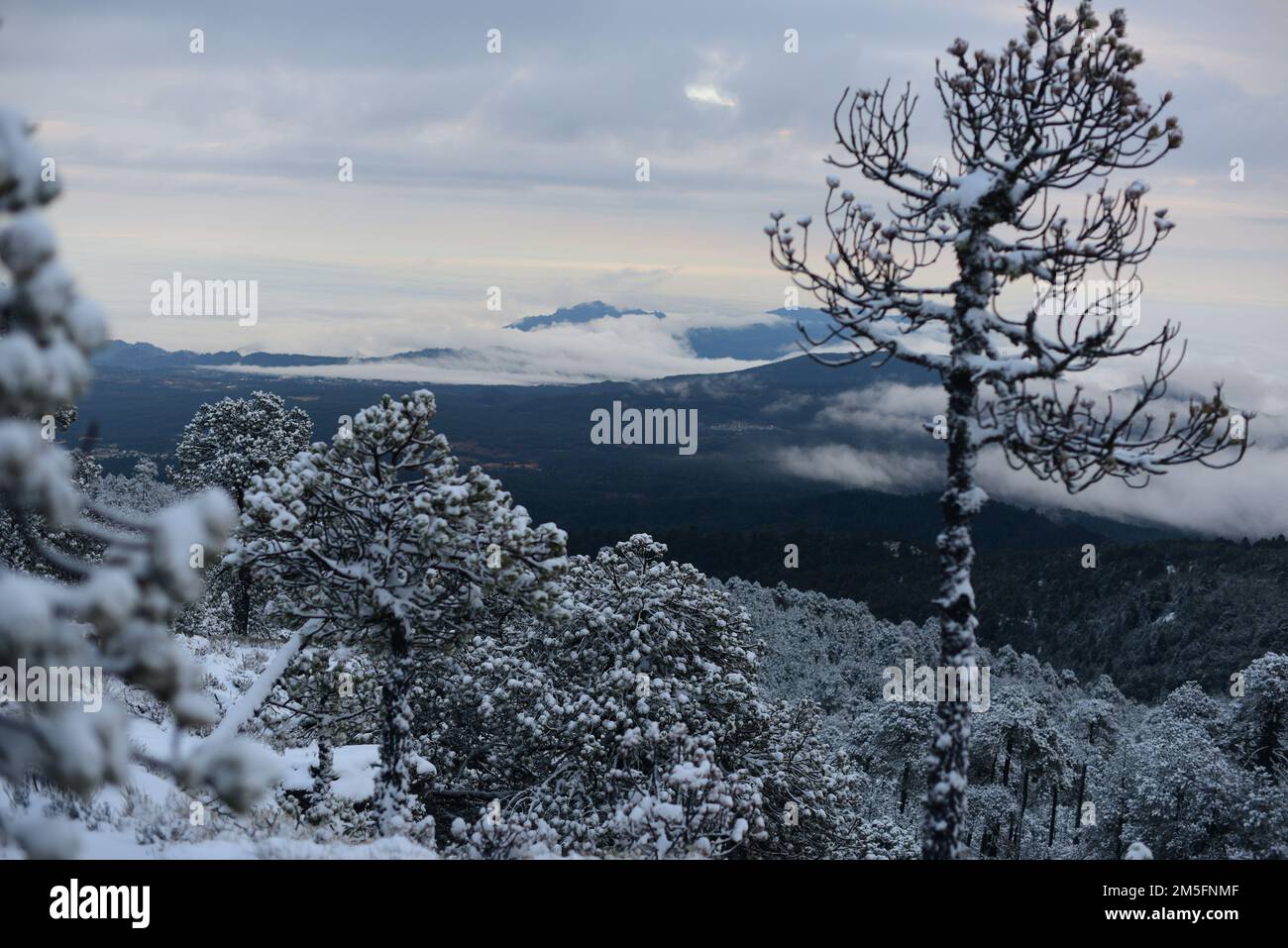 Perote, Mexico. 26th Dec, 2022. People took advantage of the first