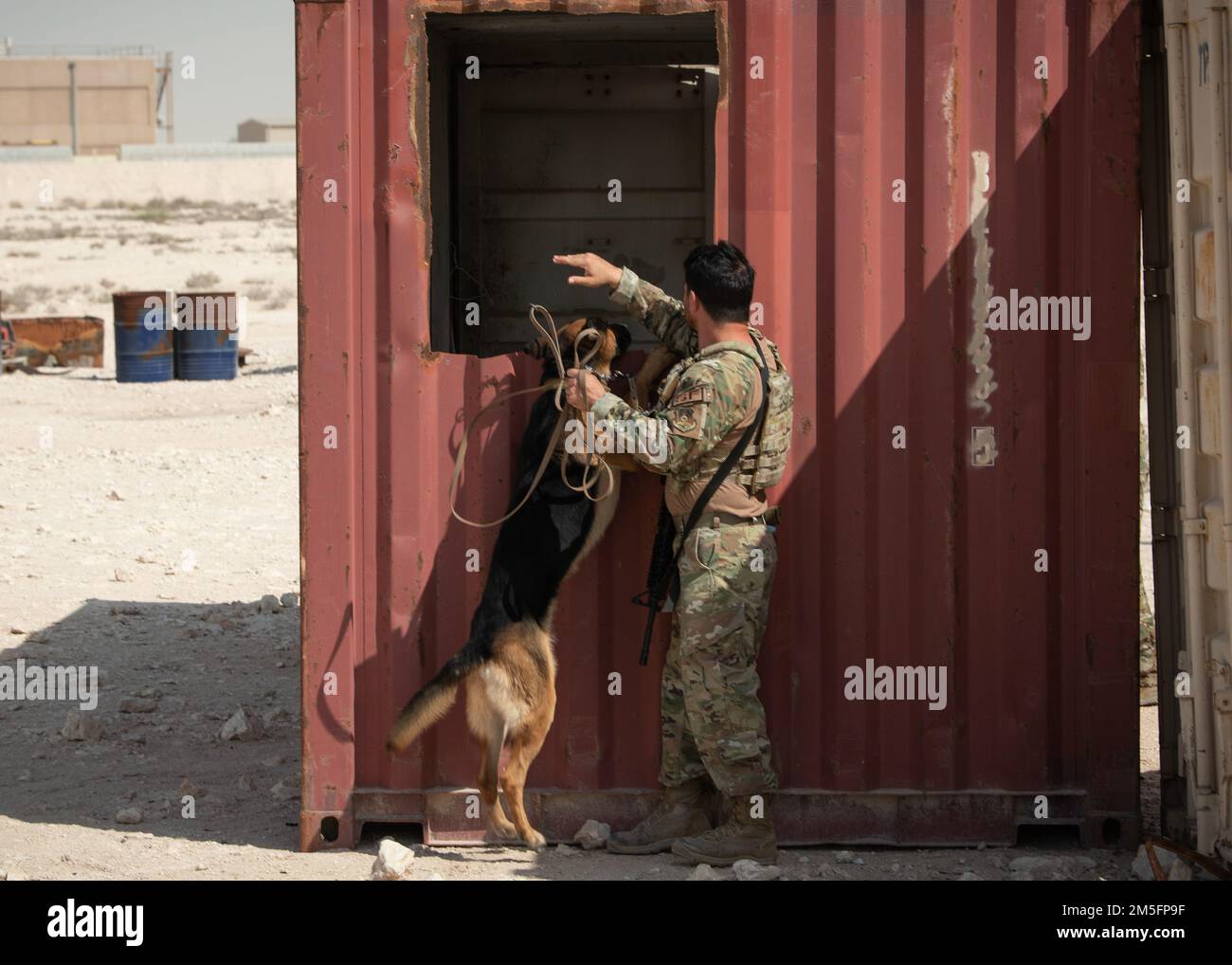 A U.S. Air Force military working dog handler assigned to the 379th Expeditionary Security Forces Squadron and his MWD go through a training scenario at Al Udeid Air Base, Qatar, March 15, 2022. MWD teams on various scenarios to maintain readiness and familiarize themselves with potential real-world situations. Stock Photo