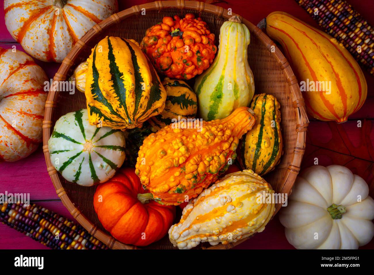 Basket Full Of Gourds Stock Photo
