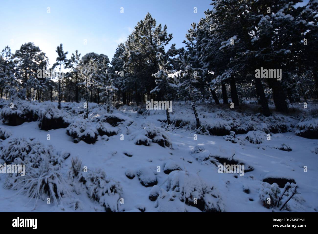 Perote, Mexico. 26th Dec, 2022. People took advantage of the first