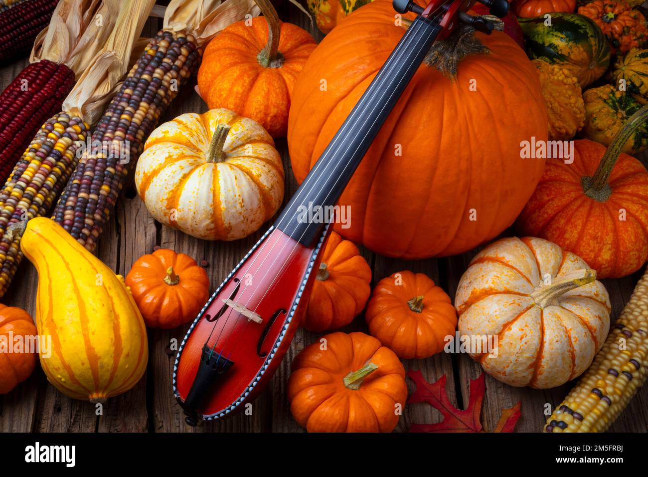 Pocket Violiv Among Autumn Harvest Stock Photo