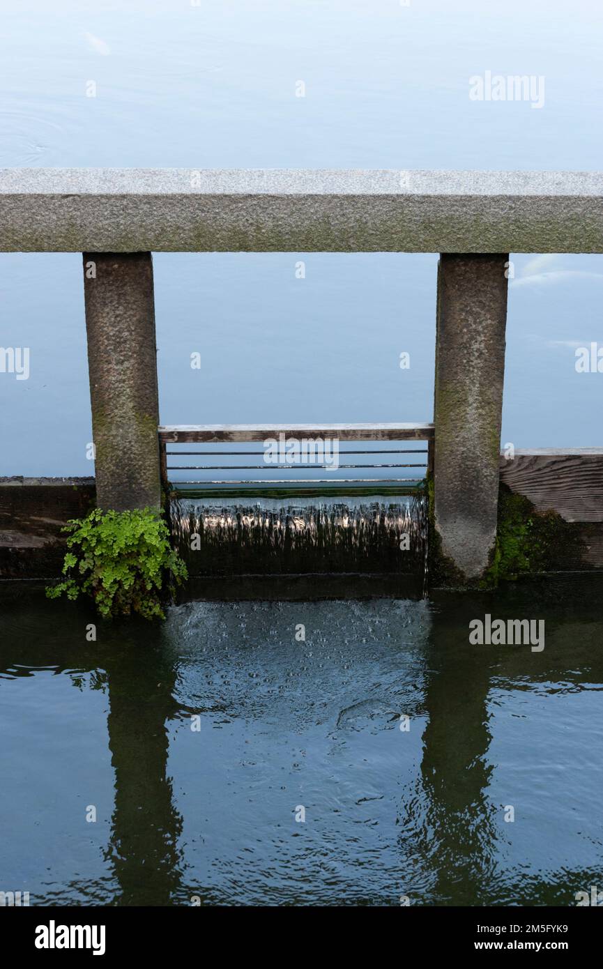 Water flows through a stone weir from one pond to another watercourse