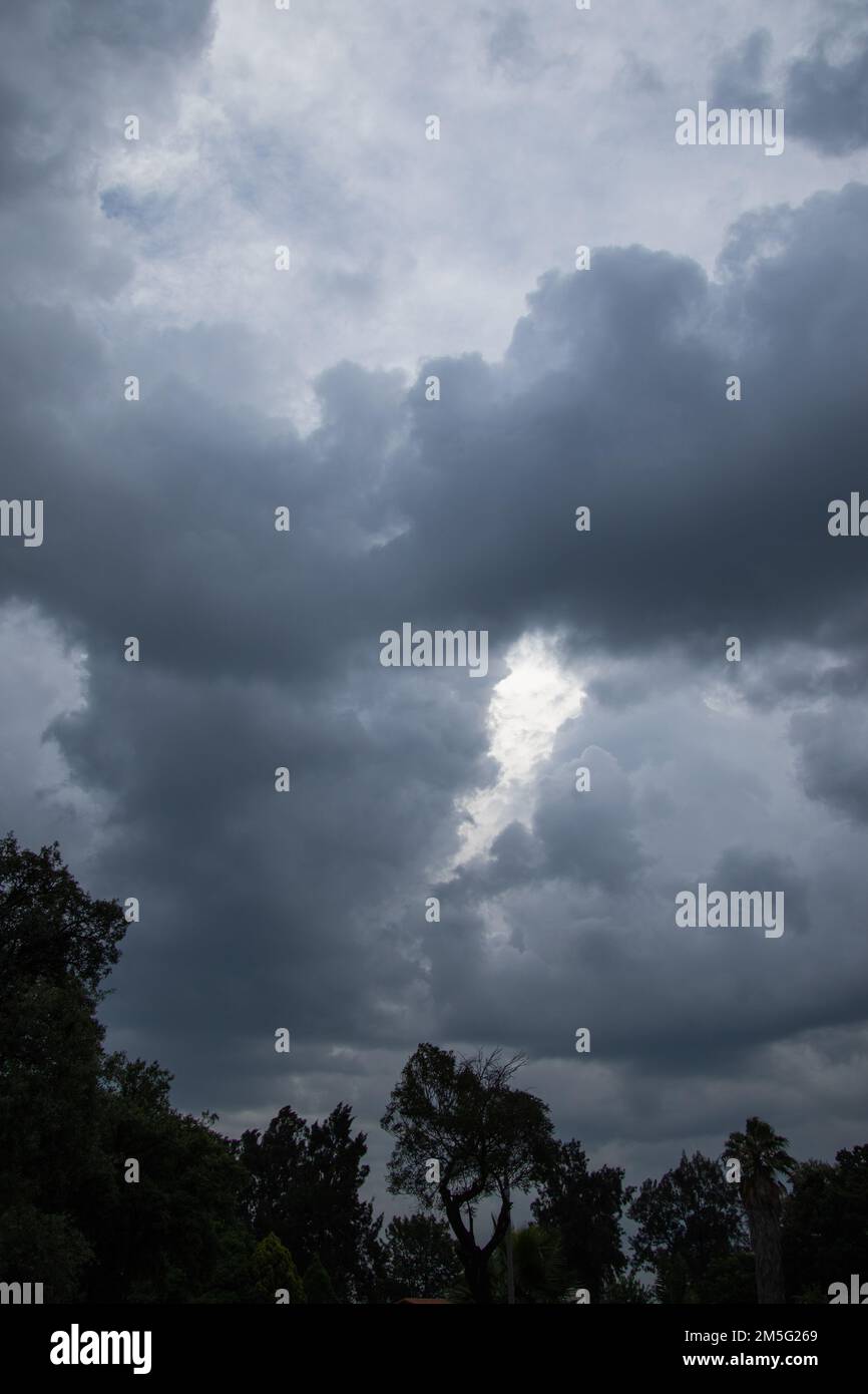 Storm clouds above dark silhouetted trees Stock Photo - Alamy