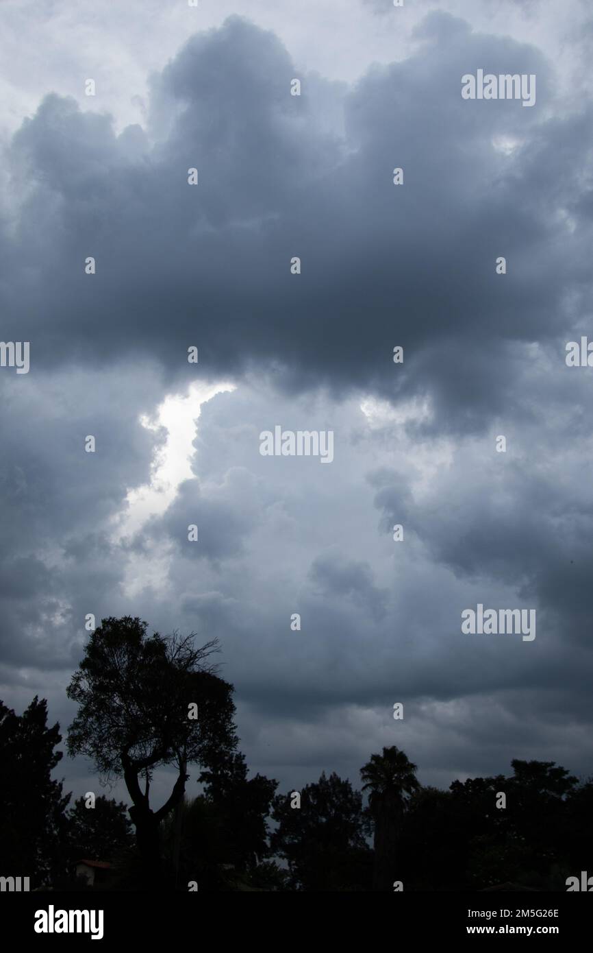 Storm clouds above dark silhouetted trees Stock Photo - Alamy