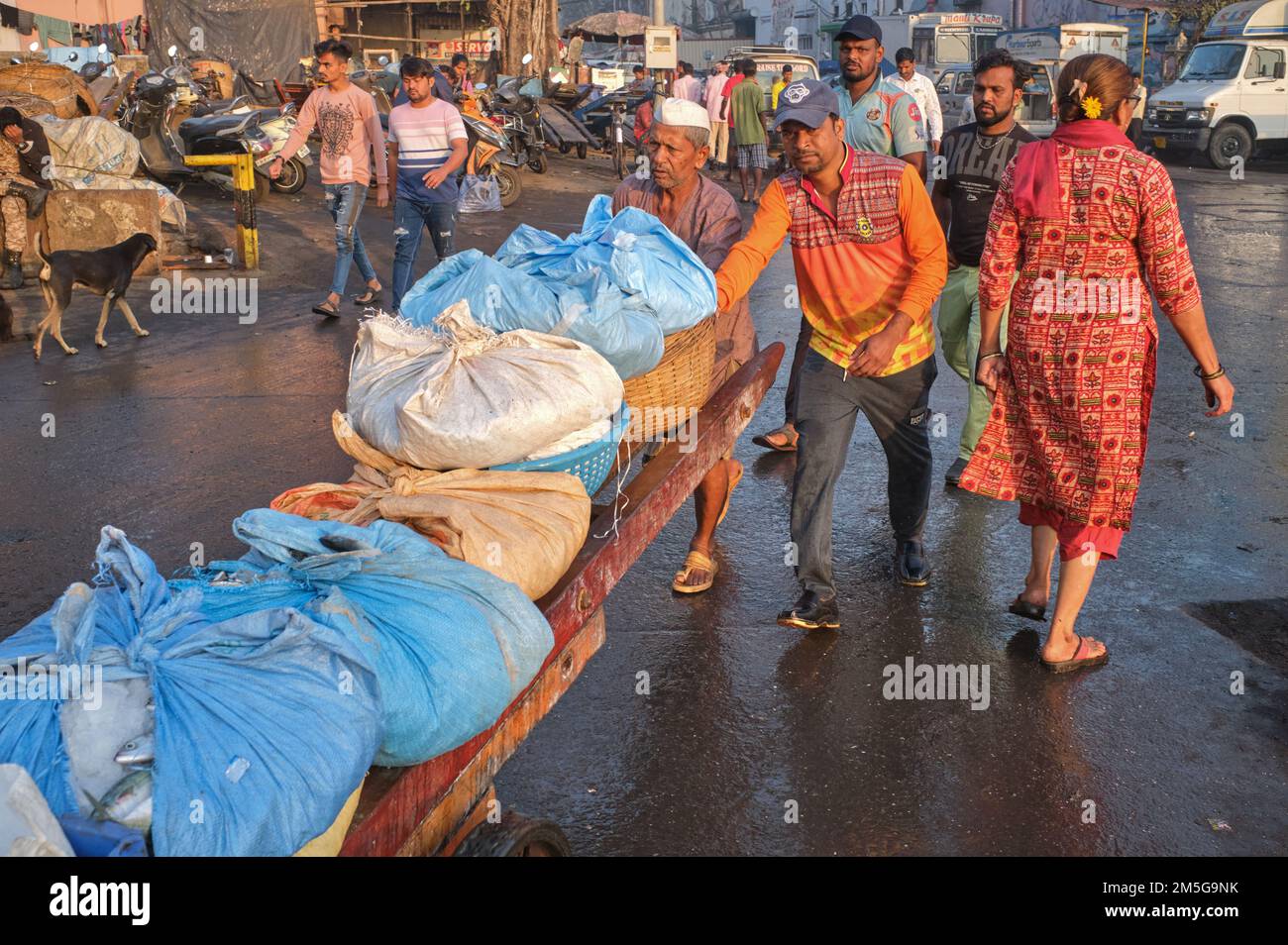 Porters with a heavily laden trolley transporting goods in Sassoon Dock fishing harbor in Colaba, Mumbai, India Stock Photo