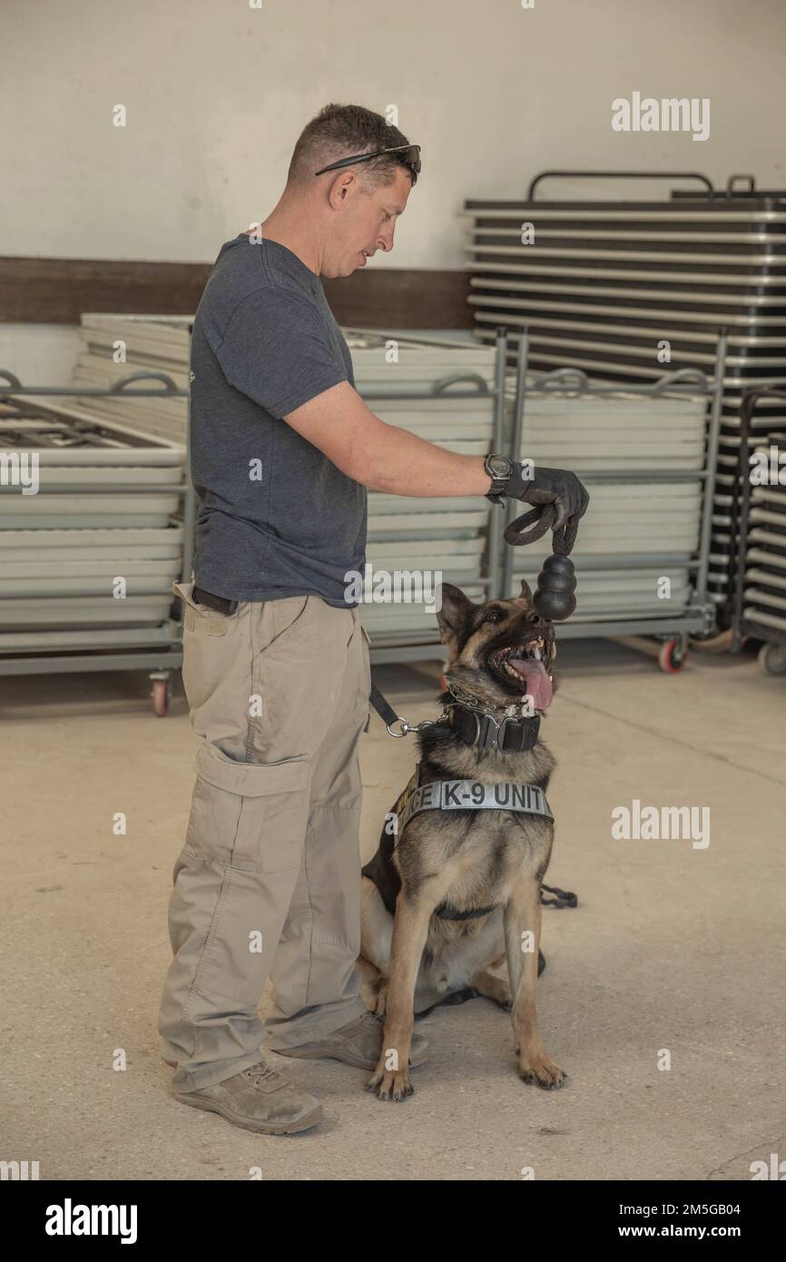 U.S. Marine Corps Police Officer Richard Llewelyn, a military working dog (MWD) handler with the Provost Marshal’s Office K-9 Unit, Headquarters Battalion, Marine Air Ground Task Force Training Command, Marine Corps Air Ground Combat Center (MCAGCC) gives a reward to Vax, his military working dog, after completing narcotics detection training in Outdoor Adventures at MCAGCC, Twentynine Palms, California, March 16, 2022. Narcotics detection training ensures MWD handlers are proficient in handling and communicating with dogs as they identify threats in the area. Stock Photo