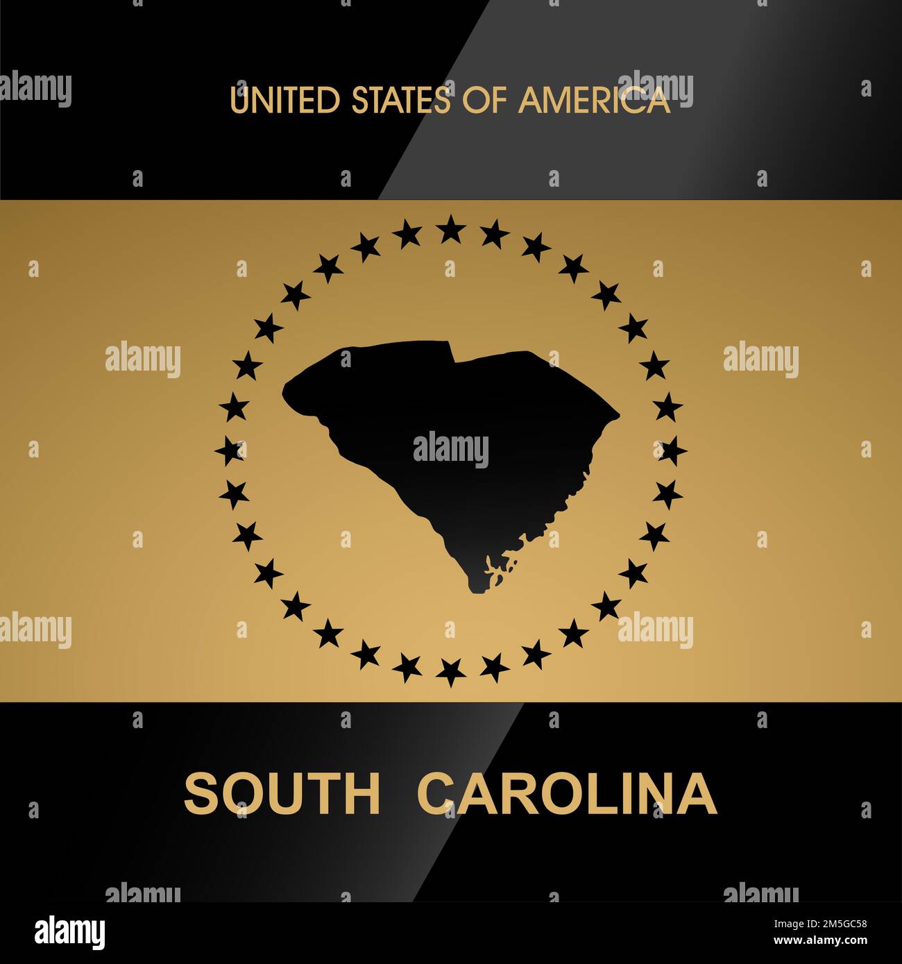 South Carolina map vector background Stock Vector