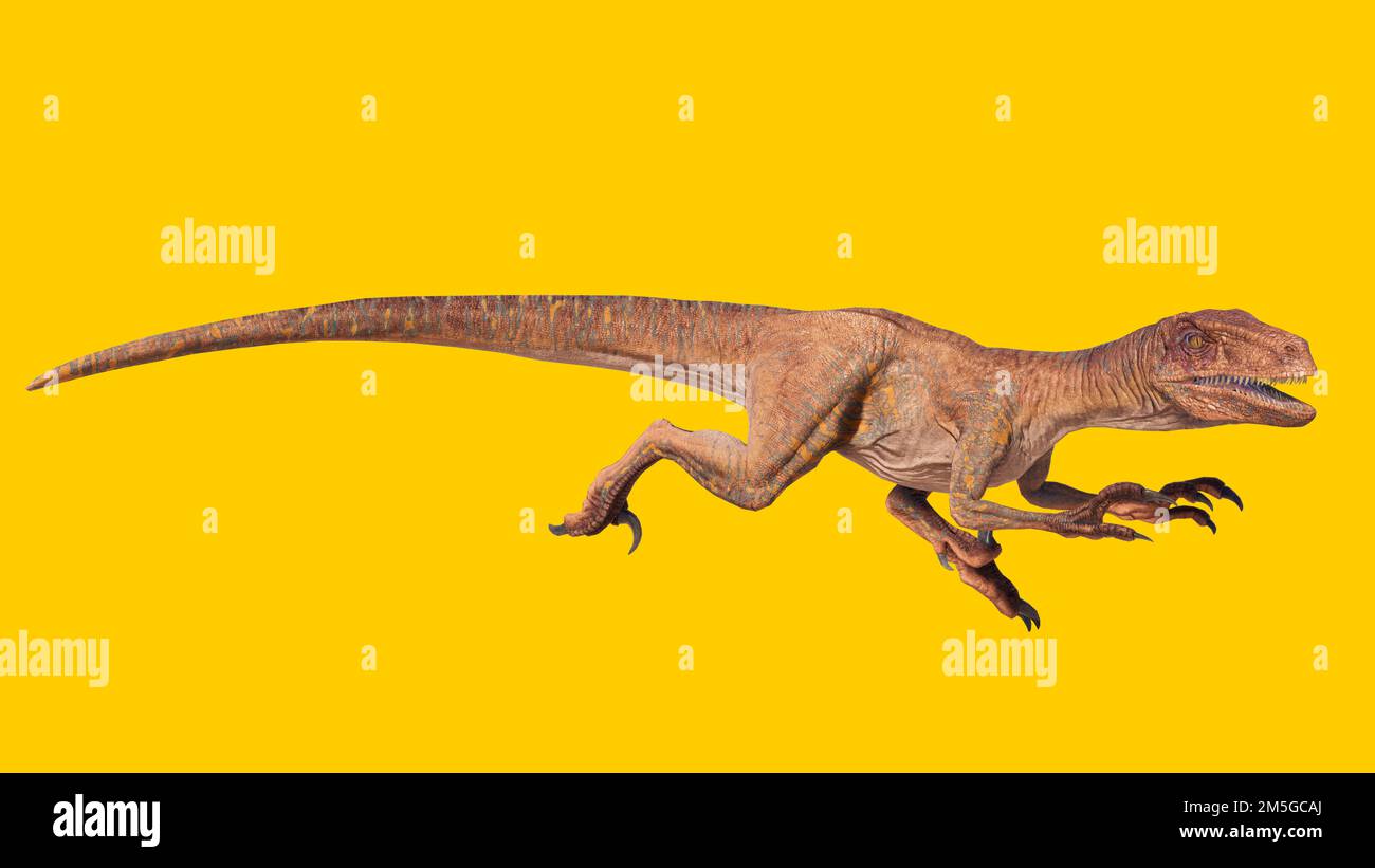 3d rendering velociraptor dinosaur hires stock photography and images