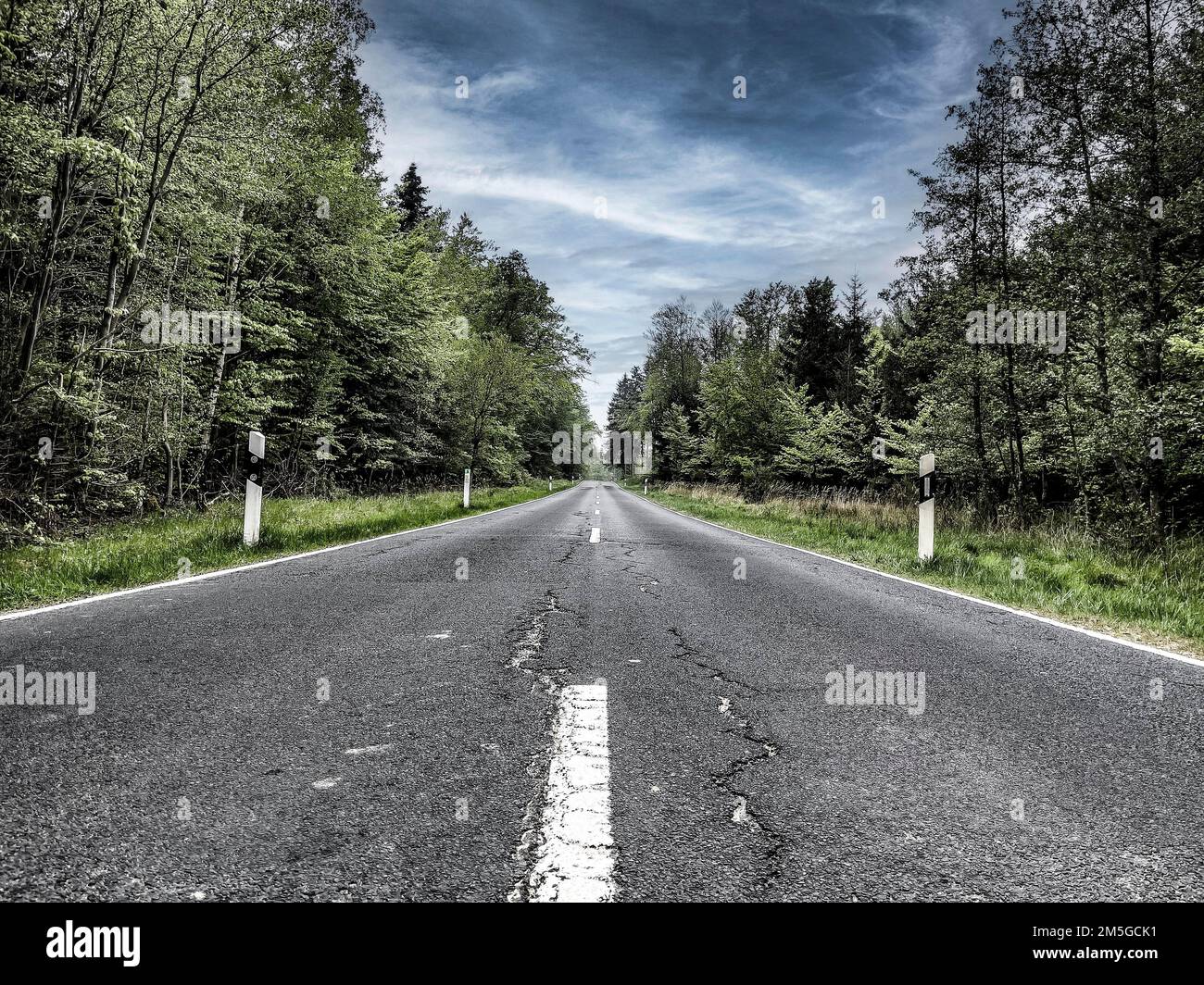 Country road with central reservation leads straight on through mixed forest, Germany Stock Photo