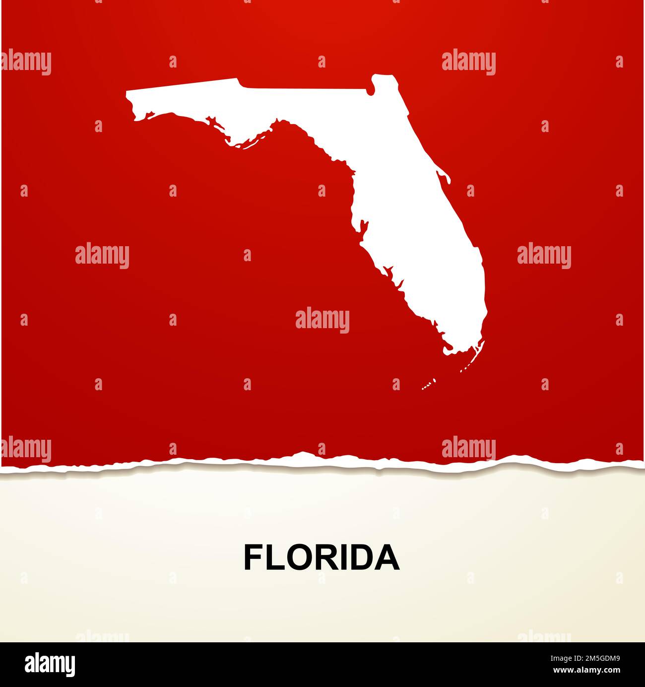 Florida map vector background Stock Vector Image & Art Alamy