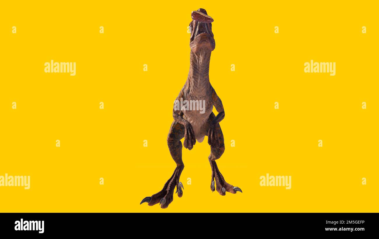Butcher Raptor A toy velociraptor dinosaur eating meat on a yellow background Stock ...