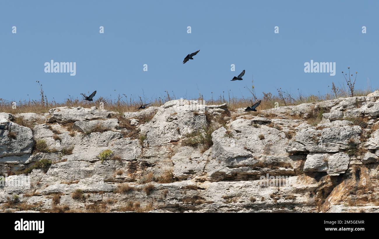Beautiful wild rocky coast hi-res stock photography and images - Alamy