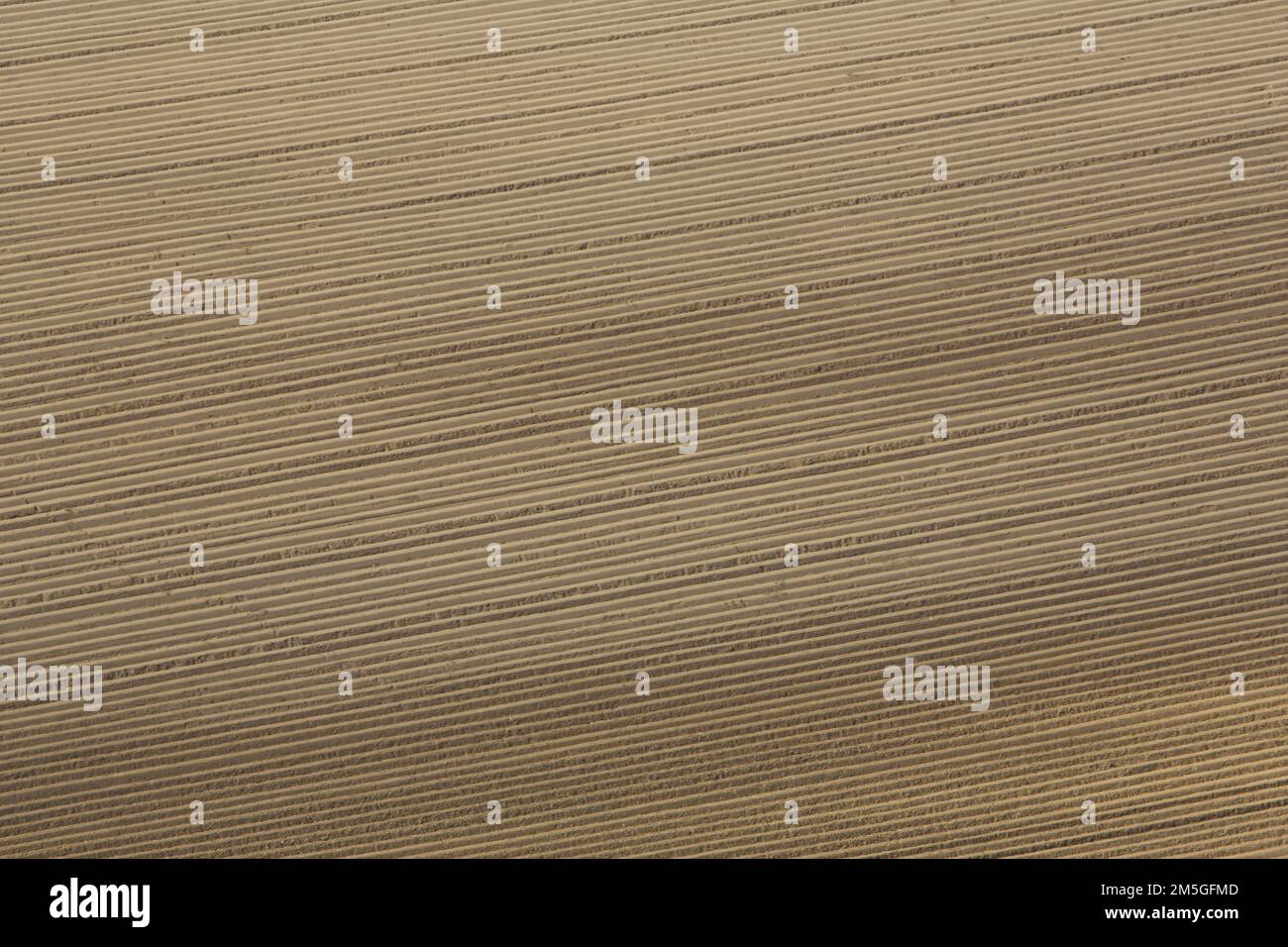 Field with grooves from above, background, structure, line pattern ...