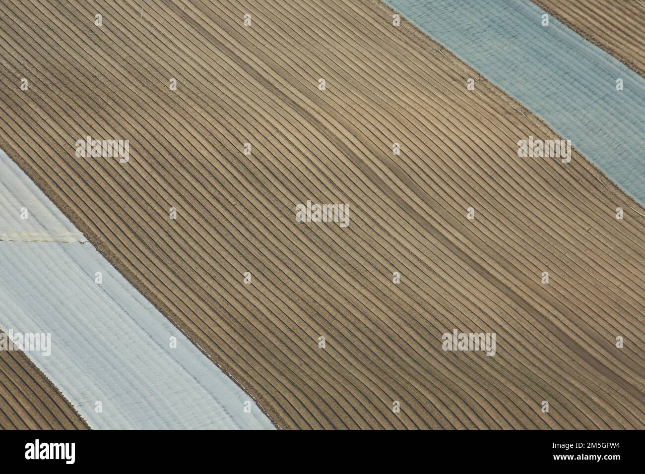 Field with grooves from above covered with foil, background, structure ...