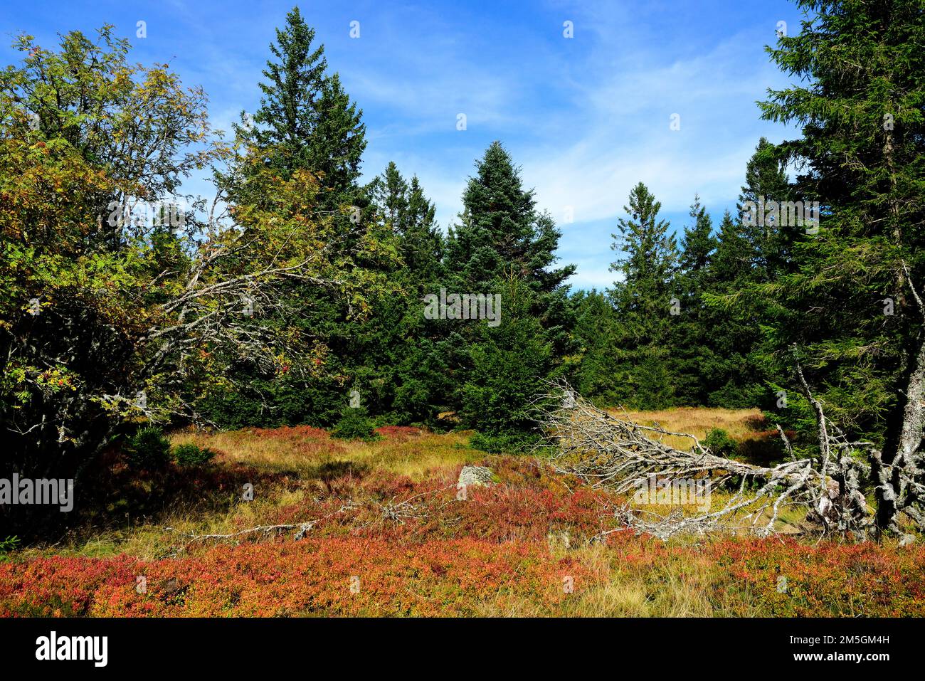 Nature reserve gazon de faing hires stock photography and images Alamy Nature reserve gazon de faing hires stock photography and images Alamy