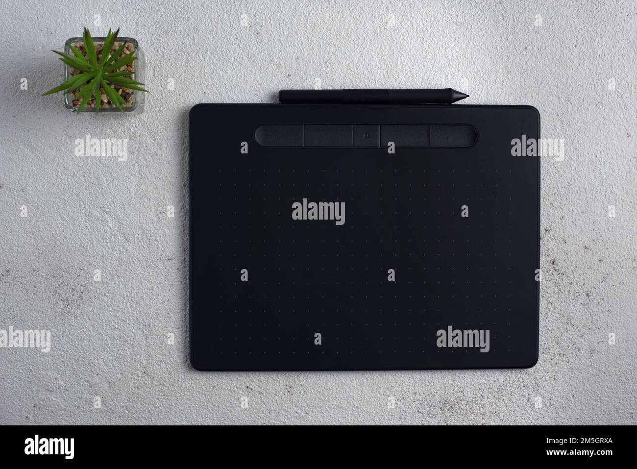 The graphic tablet with a stylus on a white background. There is a plant in a glass pot nearby. Stock Photo