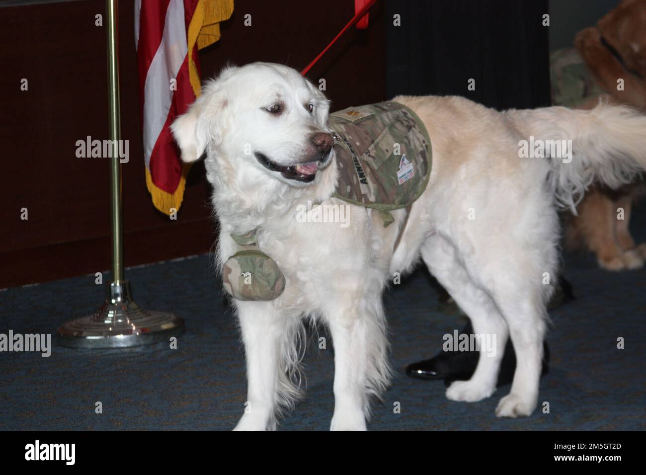 Walter Reed National Military Medical Center bid farewell to Army Maj