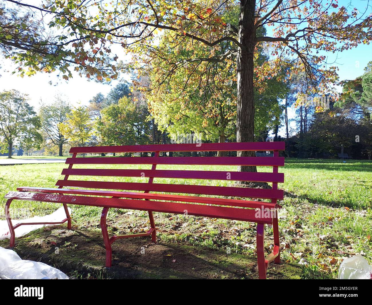 Red Bench Against Violence Against Women Stock Photo