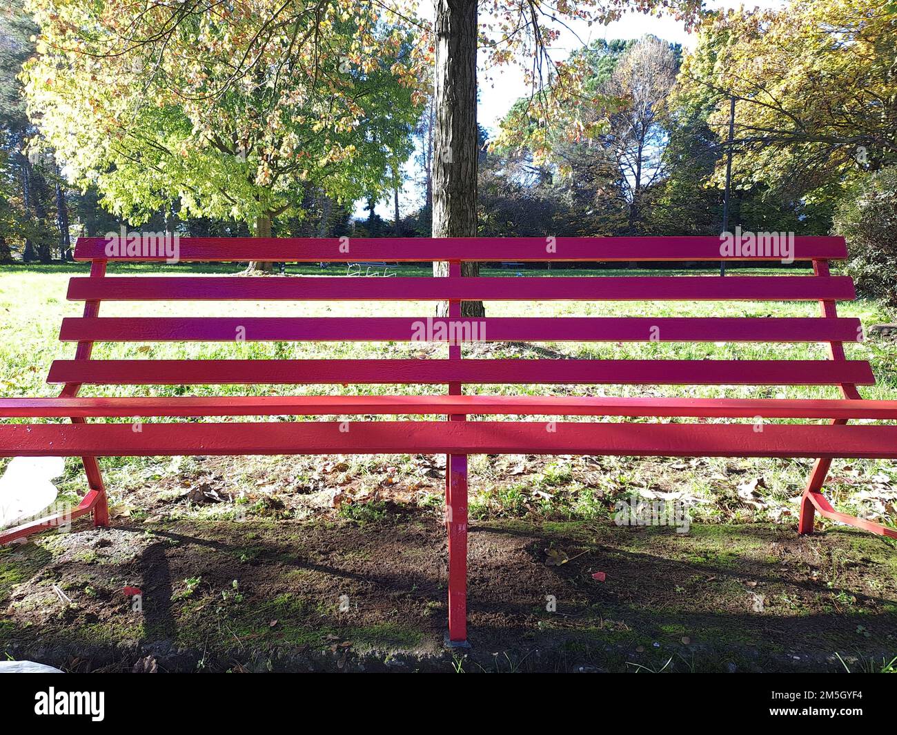 Red Bench Against Violence Against Women Stock Photo