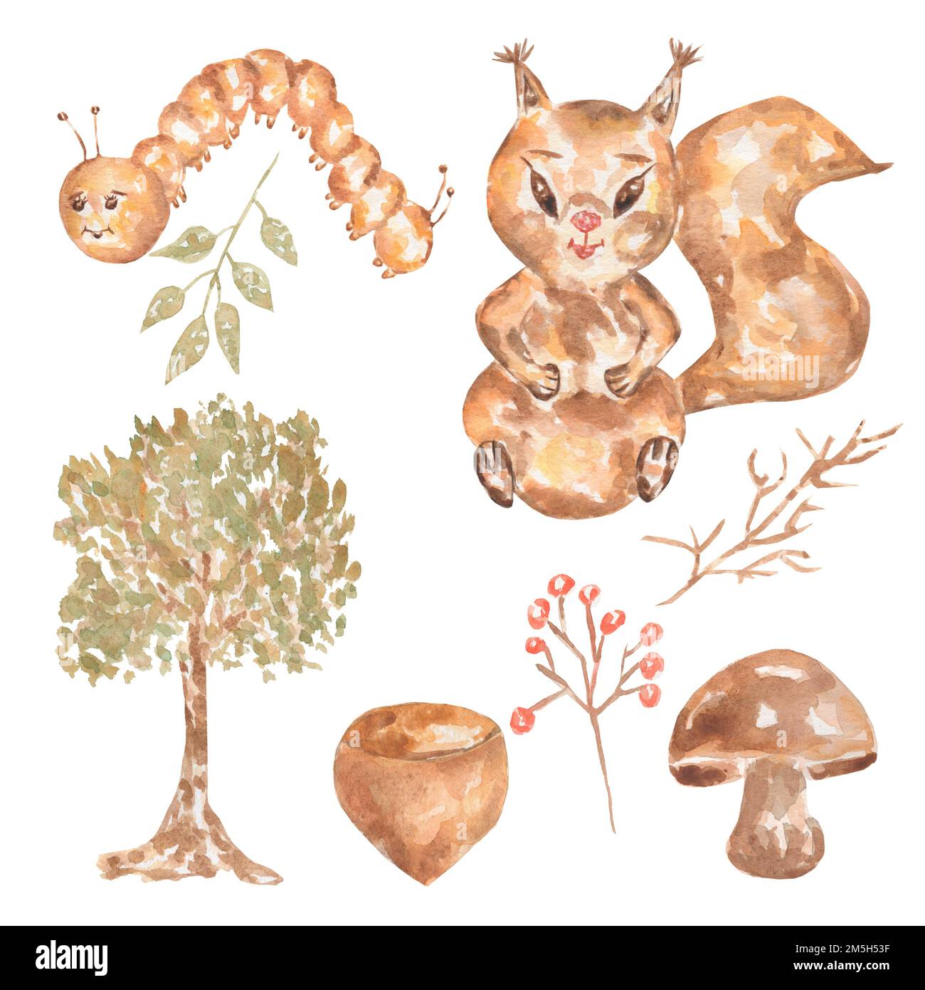 Watercolor Autumn woodland flora and animals set, isolated on white ...