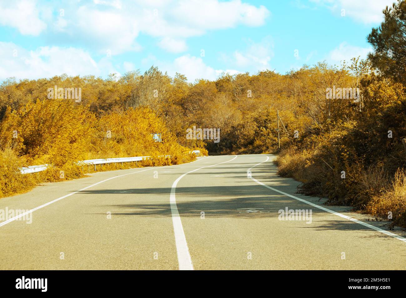 Rural way, passing through the yellowed trees asphalt forest road. Cloudy and blue sky. Away from people. No people, nobody. Road trip idea concept. Stock Photo