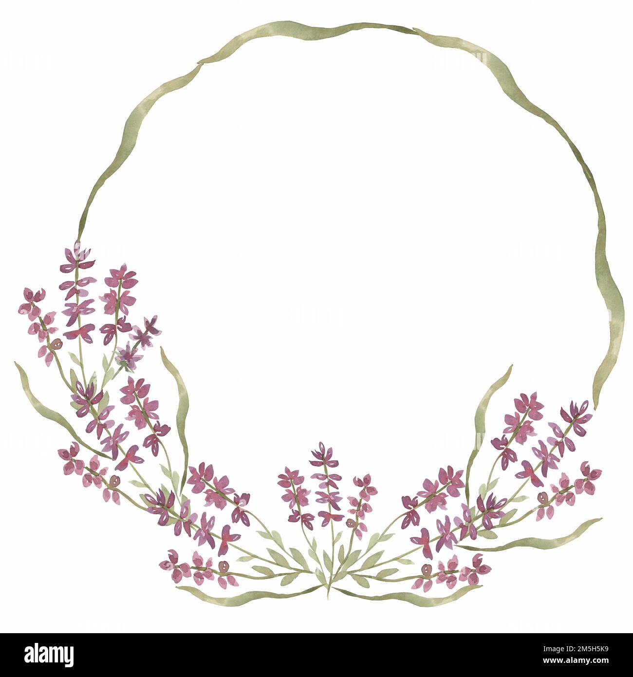 Hand drawn watercolor lavender wildflowers wreath illustration ...