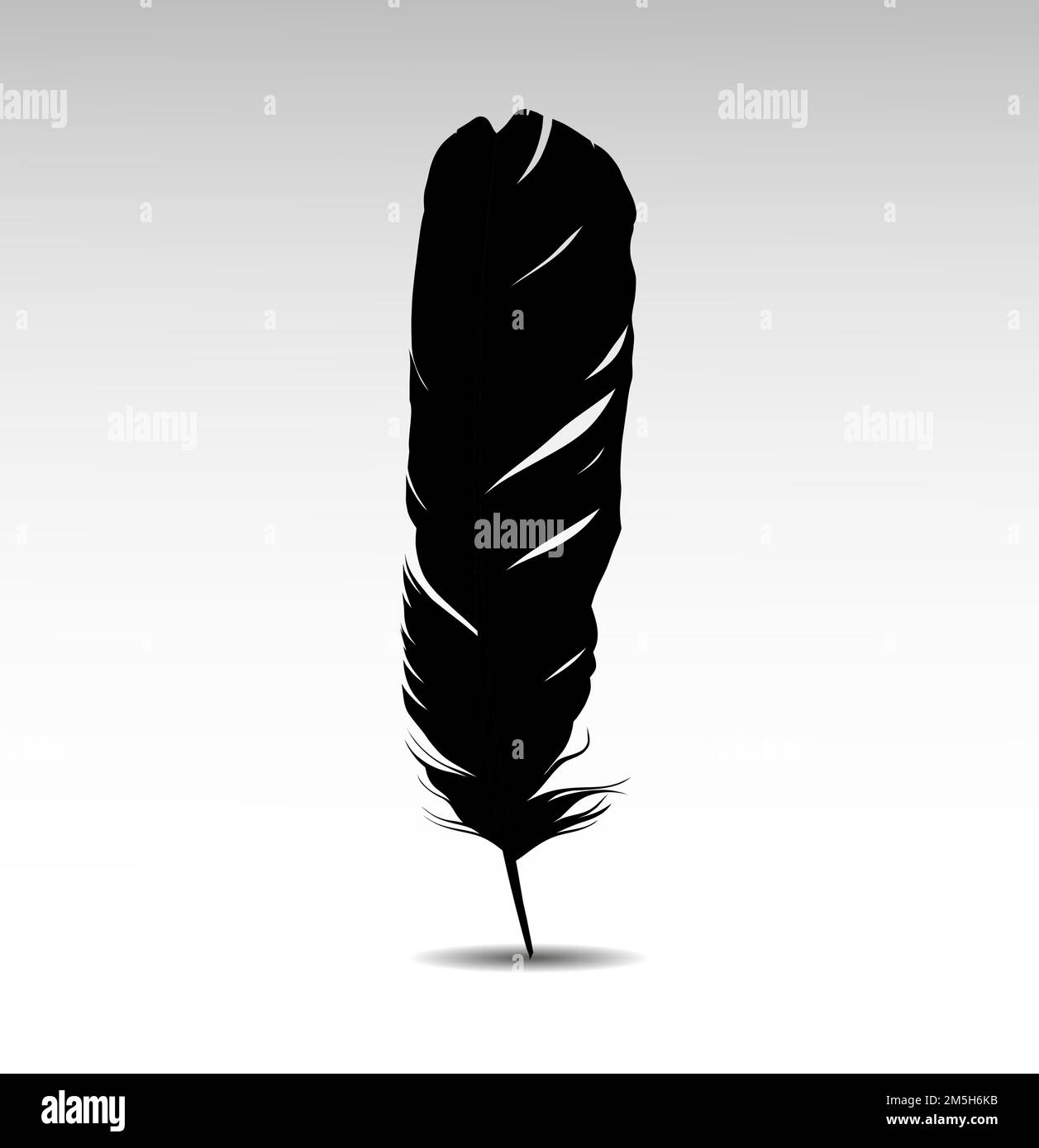 Black feather on white background vectror images Stock Vector Image ...