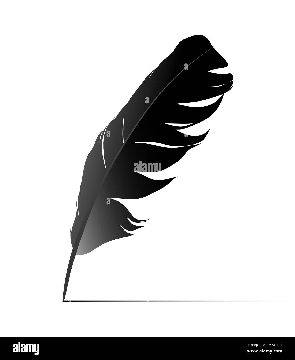 Black feather on white background vectror images Stock Vector Image ...