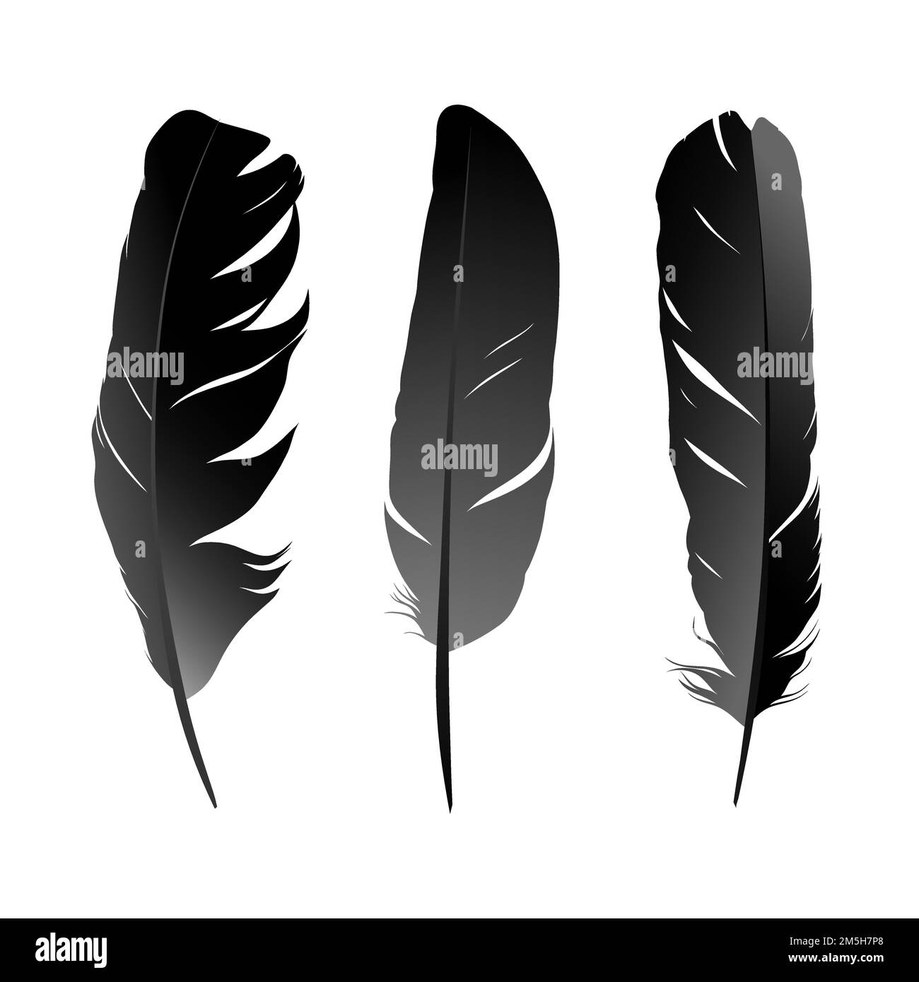 Black feather on white background vectror images Stock Vector Image ...