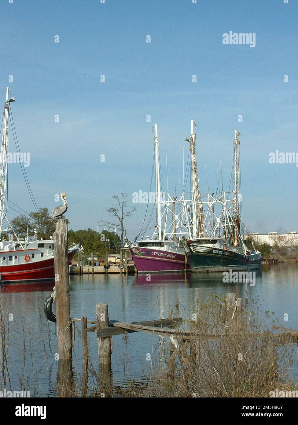 Alabama's Coastal Connection - Shrimp Boats in Bayou La Batre. Bayou La Batre provides safe harbor for the boats of its shrimping industry as well as coastal birds, such as the pelican that rests on a wooden pillar amongst the boats. Location: Alabama (30.404° N 88.253° W) Stock Photo