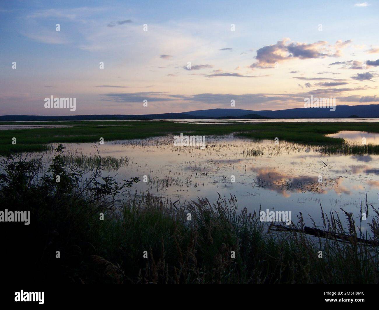 The Parks Highway Scenic Byway Minto Flats. The mosaic of ponds, oxbows, stream