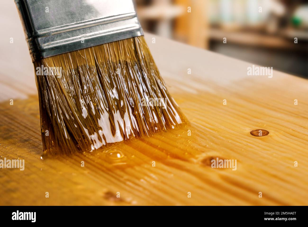 applying varnish on wooden board with paint brush. furniture coating and protection Stock Photo