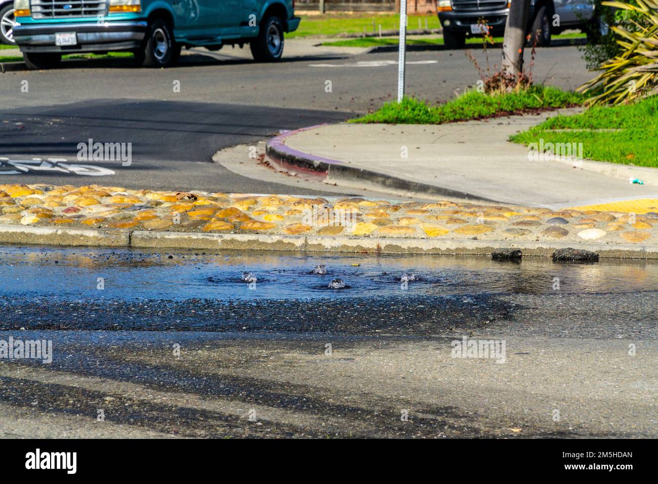 The King tide on Christmas Eve 2022 backs up through the storm drain system at Marina Blvd and Neptune drive in San Leandro California USA Stock Photo