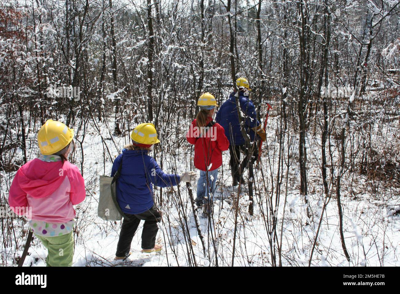 Gunflint Trail Scenic Byway - Girl Scouts at the Gunflint Green Up. Three 2nd and 3rd grade Girl Scouts in brightly-colored jackets and yellow hard hats head through a burned forest with their leader to plant tree seedlings during Gunflint Green Up. Minnesota (48.037° N 90.407° W) Stock Photo