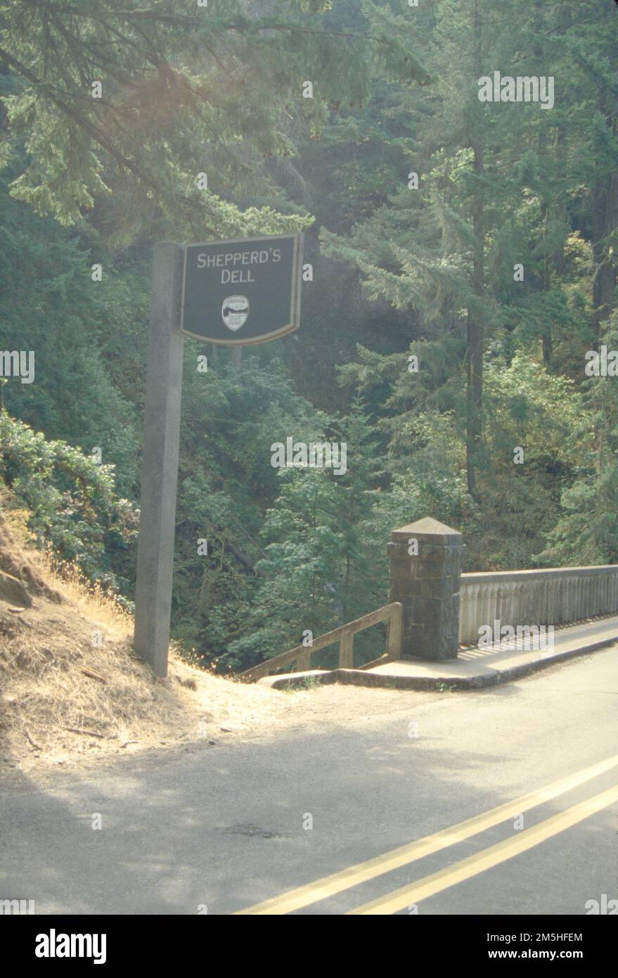 Historic Columbia River Highway - Shepperd's Dell. The sunlight ...