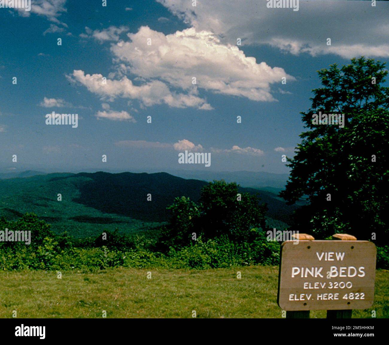 Forest Heritage National Scenic Byway Pink Beds Picnic Area. This