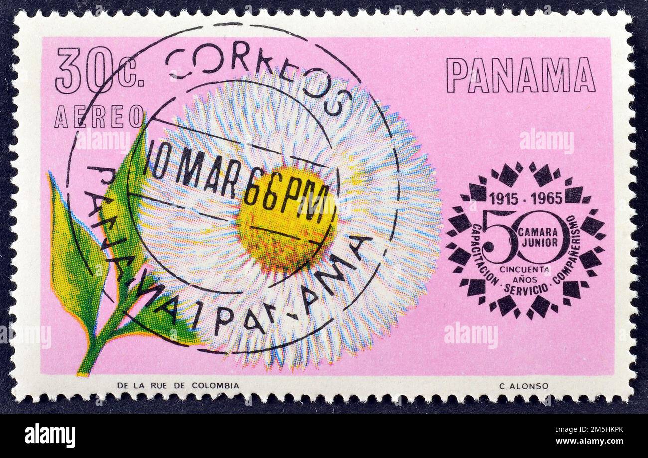 Cancelled postage stamp printed by Panama, that shows Hibiscus rosa