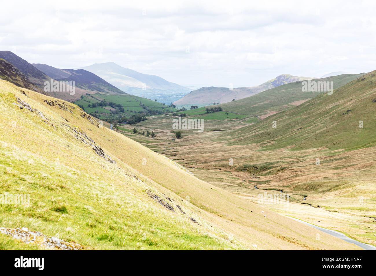 Whinlatter Pass, Cumbria, UK, England, mountain pass, Whinlatter Pass UK, Whinlatter Pass Cumbria, Cumbrian,landscape, Cumbria Landscape, Cumbrian Stock Photo