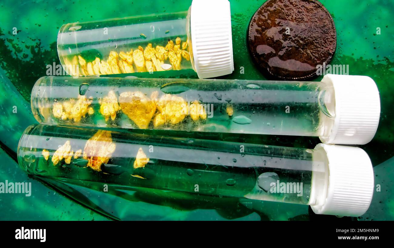 Gold nuggets scotland hires stock photography and images Alamy