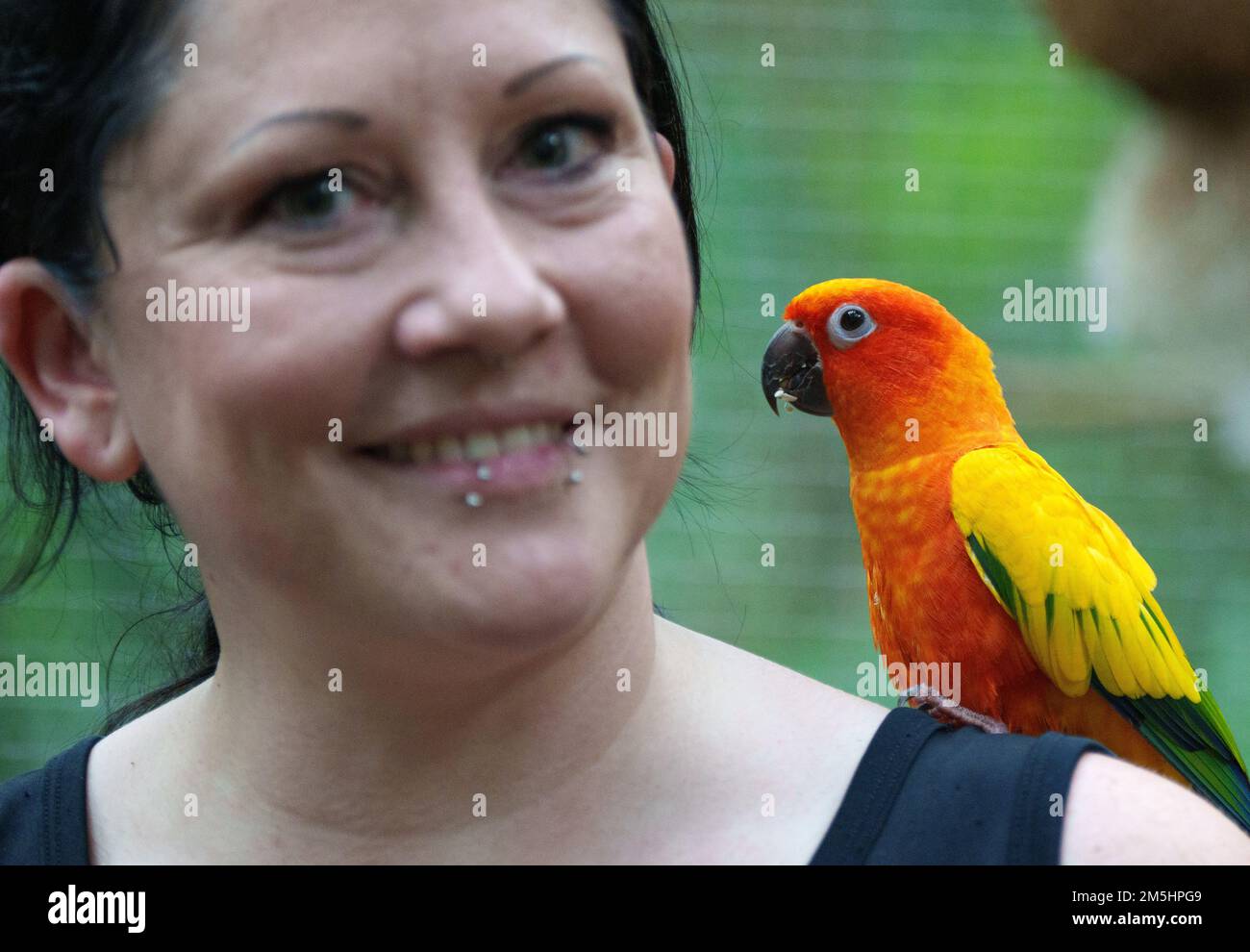 29 December 2022, Brandenburg, Potsdam Animal keeper Rebekka has a sun