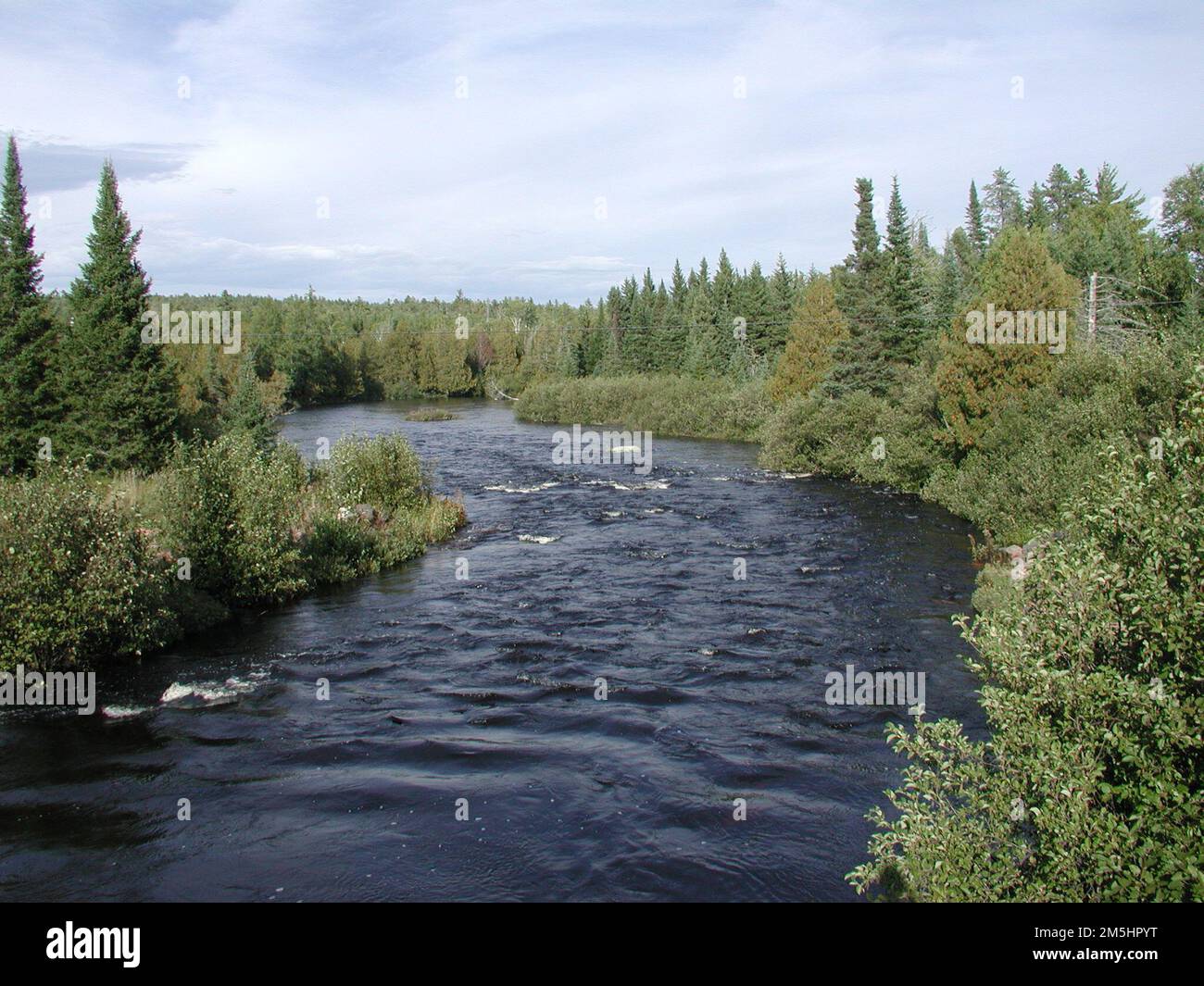 Gunflint Trail Scenic Byway - North Brule River. The North Brule River in high water flows between alder and spruce trees on its bank. A series of shallow rapids form ripples on the river. Minnesota (47.988° N 90.350° W) Stock Photo