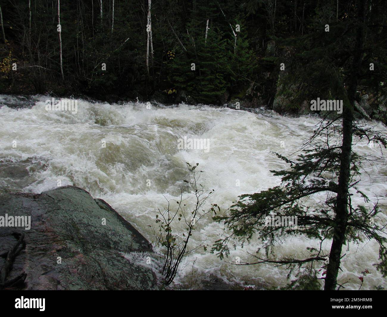 Gunflint Trail Scenic Byway - Seagull River at Trail's End Campground. Rapids rush along the Seagull River as it descends from Seagull Lake to Gull Lake. Seagull River, Trail's End Campground, Minnesota (47.988° N 90.349° W) Stock Photo