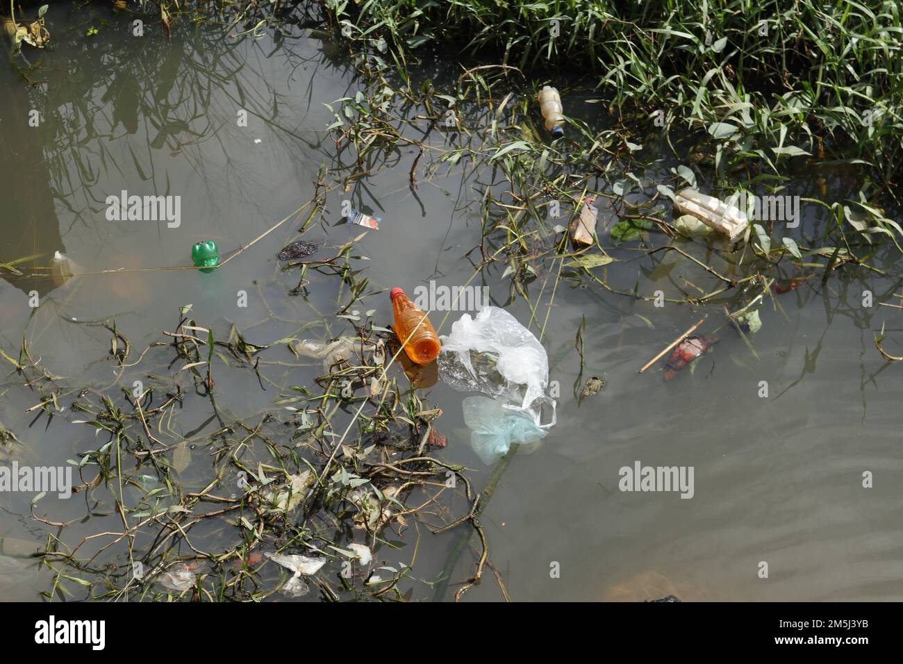 A small waterway filled with rubbish like Plastic waste and polythene bags and weed plants in Sri Lanka Stock Photo