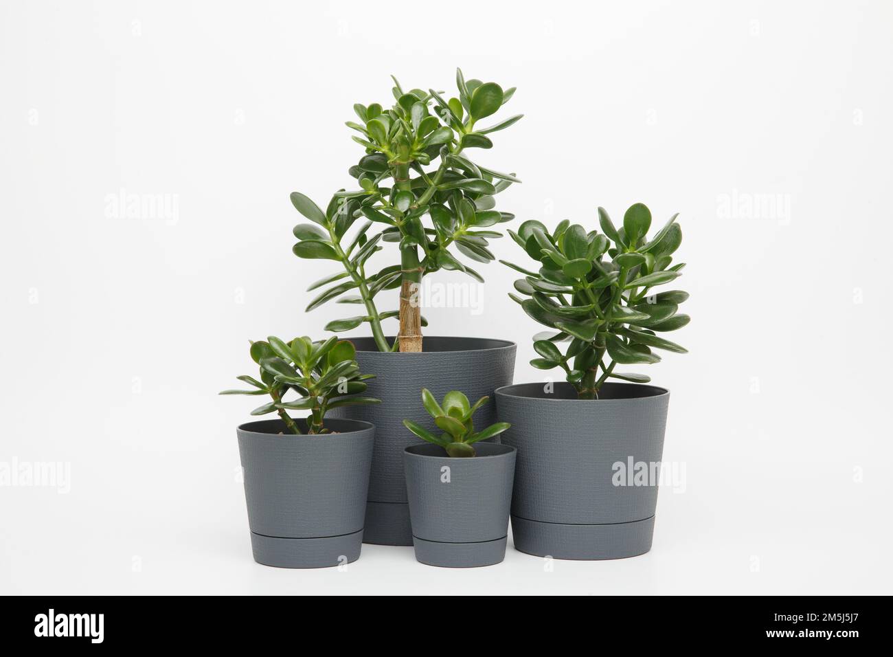 Different money pots hires stock photography and images Alamy