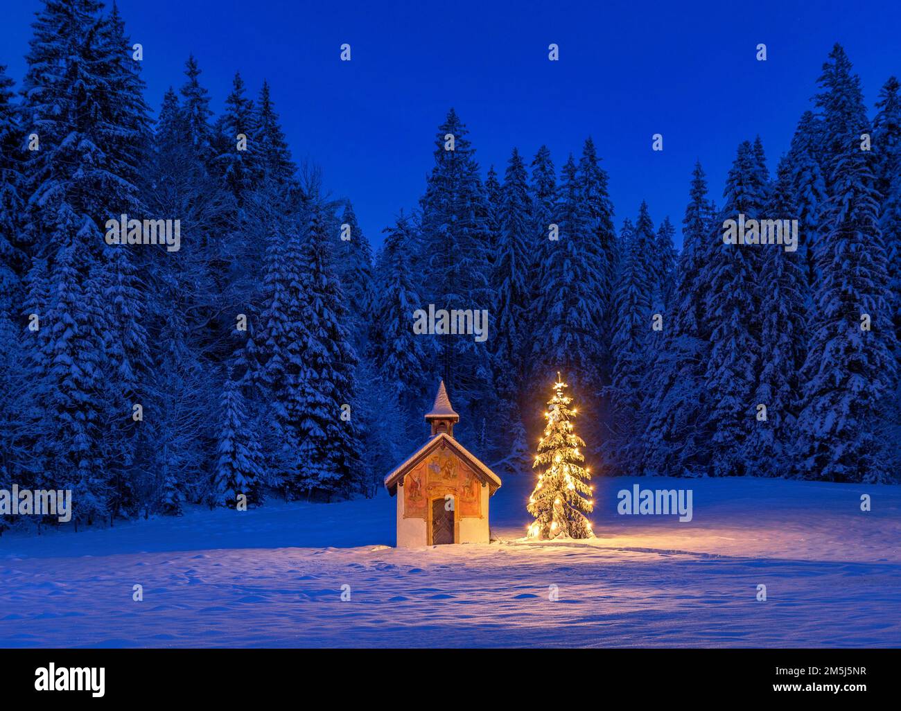 Beleuchteter Christbaum vor einer Kapelle im Winter, Bayern, Oberbayern, Deutschland, Europa  Illuminated Christmas tree in front of a chapel in winte Stock Photo